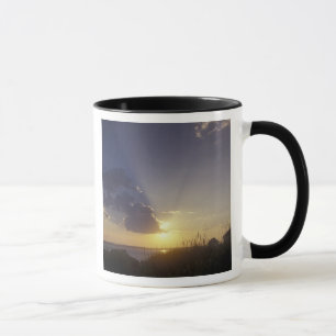 Caneca EUA, Washington, perto de Port Townsend. Ponto