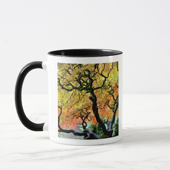 Caneca EUA, Washington, Seattle, Jardim Kubota. (Esquerda)