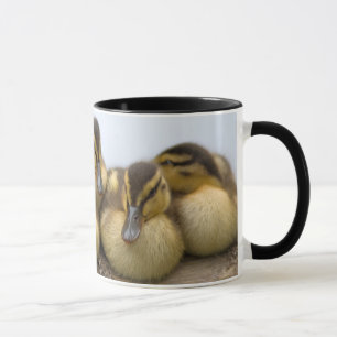 Caneca EUA, Washington, Seattle, Lago Washington