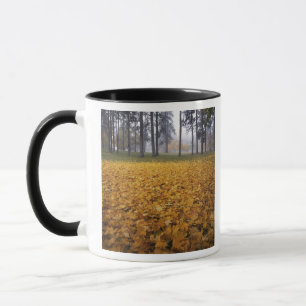 Caneca EUA, Washington, Spokane, Manito Park, outono