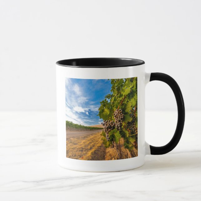 Caneca EUA, Washington, Vale de Yakima. Uvas Merlot (Direita)
