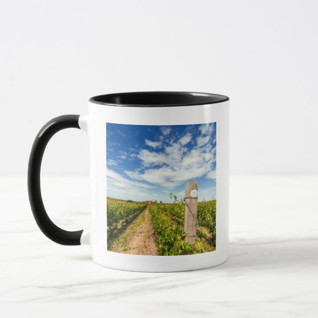 Caneca EUA, Washington, Walla Walla. Cabernet Sauvignon (Esquerda)