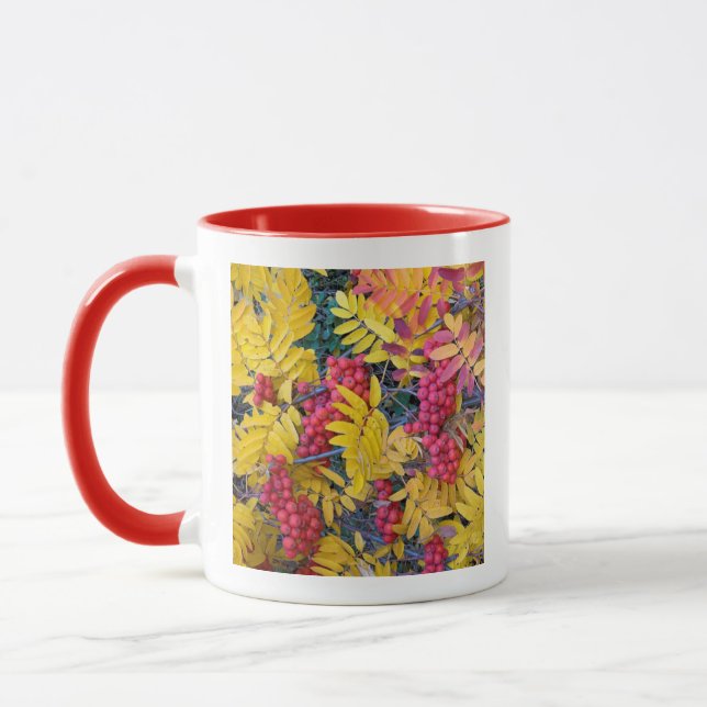 Caneca EUA, Washington, Western Mountain Ash, Okanogan (Esquerda)