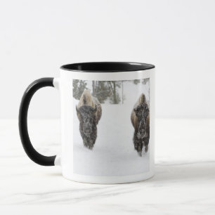 Caneca EUA, WY, Parque Nacional de Yellowstone, Bisão Ame