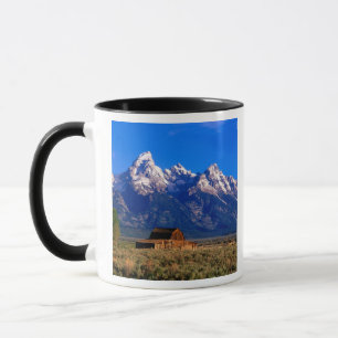Caneca EUA, Wyoming, Parque Nacional Grand Teton, Manhã