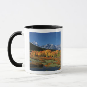 Caneca EUA, Wyoming, Parque Nacional Grand Tetons em