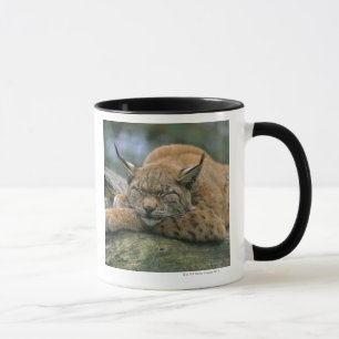 Caneca Europ�_ischer Luchs, Eurasischer Luchs (lince