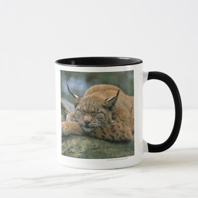 Caneca Europ�_ischer Luchs, Eurasischer Luchs (lince (Direita)