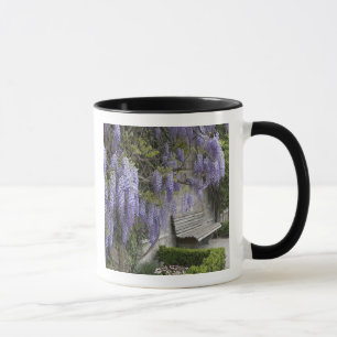 Caneca Europa, Áustria, Salzburg Stadt, Salzburg,