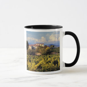 Caneca Europa, França, Bonnieux. Vinhas cobrem o