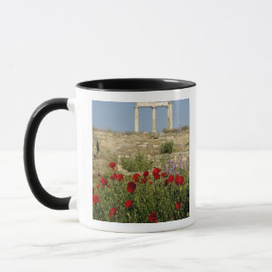 Caneca Europa, Grécia, Cíclades, Delos. Ruínas de coluna.
