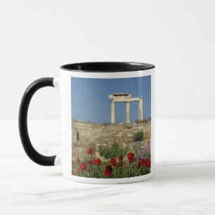 Caneca Europa, Grécia, Cíclades, Delos. Ruínas de coluna.