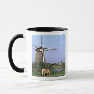 Caneca Europa, Holanda, Zuid Holland, Kinderdijk. 2