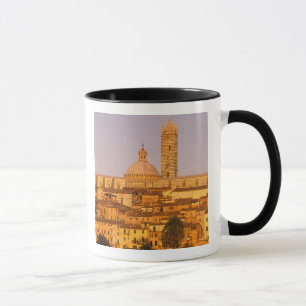 Caneca Europa, Itália, Toscana, Siena. 13 de século 2