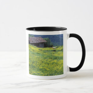 Caneca Europa, Itália, Toscana, Siena, Chianti.