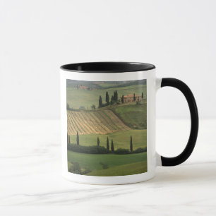 Caneca Europa, Itália, Toscana, Val d' Orcia, Toscano