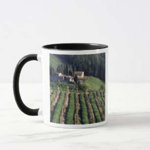 Caneca Europa, Itália, Toscana. Vila cênica chipre.