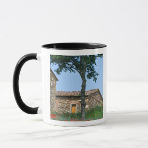 Caneca Europa, Itália, Toscana, villa abandonada em