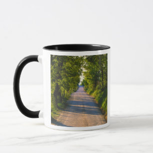Caneca Europa, Itália, Toscânia, estrada em linha