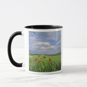 Caneca Europa, Toscana, Poggiolo. Papoulas vermelhas bala