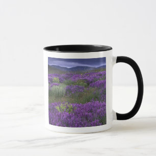 Caneca Europa, Turquia, Capadócia. Paisagem rural 2