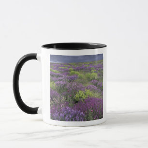 Caneca Europa, Turquia, Capadócia. Paisagem rural 3