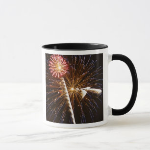 Caneca Exibição de fogos de artifício no rio Savannah