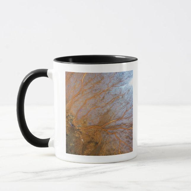 Caneca Fã de mar gorgonian gigante (sp de Plexauridae.) (Esquerda)