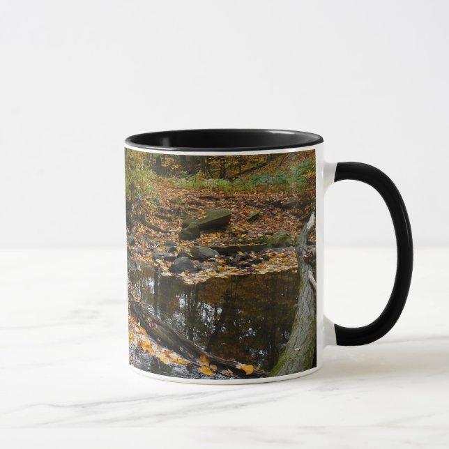 Caneca Fall Creek com Reflexo no Laurel Hill Park (Direita)