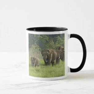 Caneca Família de Elefantes Indianos