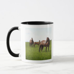 Caneca Família do cavalo no campo