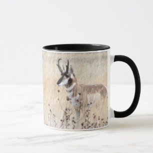 Caneca Fanfarrão do antílope de Pronghorn no campo de