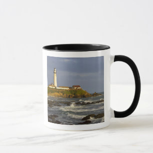 Caneca Farol em Pigeon Point State Beach em San 2