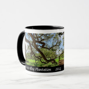 Caneca Fazenda Oak Alley, Árvores de Carvalho Vivo do Sul
