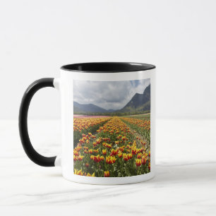 Caneca Fazenda Tulip perto de Agassiz, Colúmbia Britâni