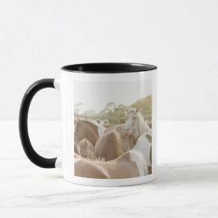 Caneca Feche acima de um rebanho dos cavalos