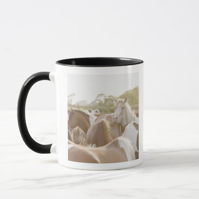 Caneca Feche acima de um rebanho dos cavalos (Esquerda)