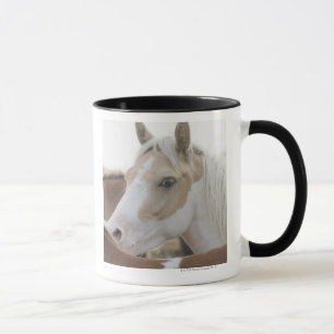 Caneca Feche acima de um rebanho dos cavalos 2