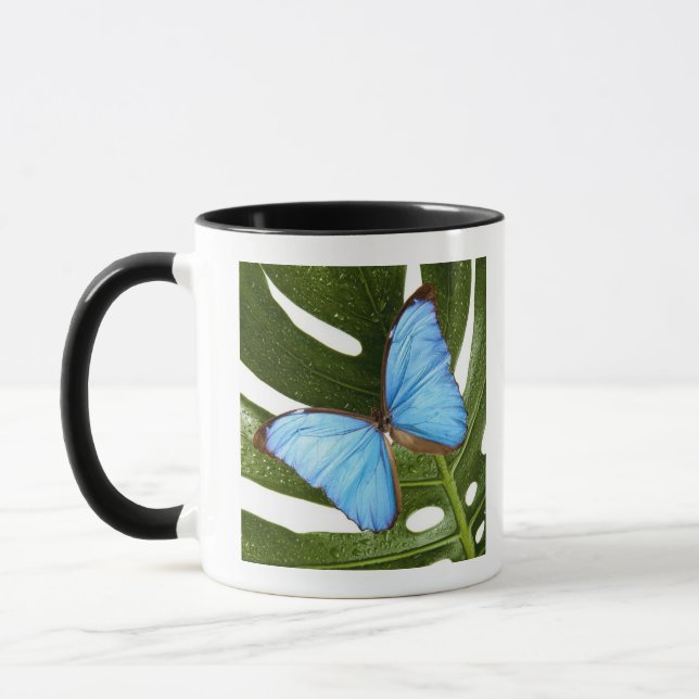 Caneca Feche acima de uma borboleta azul de Morpho em uma (Esquerda)
