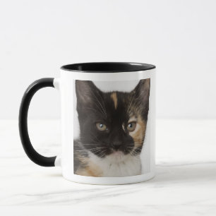 Caneca Feche acima do gatinho