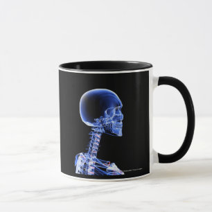 Caneca Feche acima do raio X dos ossos no pescoço