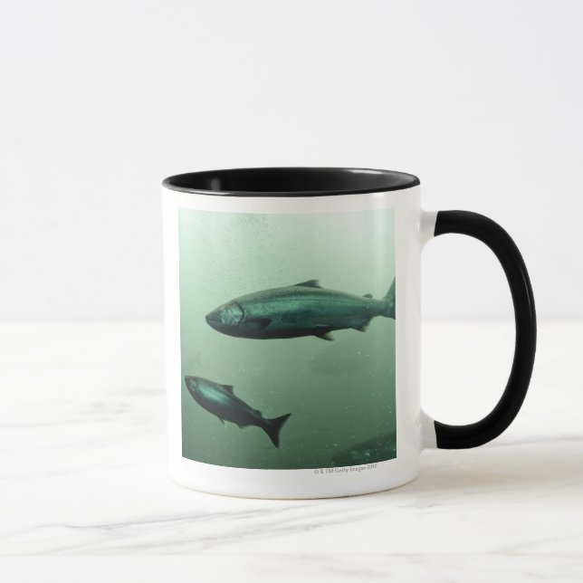Caneca Feche acima do tiro do corredor salmon (Direita)