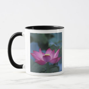 Caneca Fecho da flor de lótus vermelha e das folhas verde