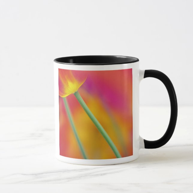 Caneca Fecho da parte inferior da flor da tulipa, (Direita)