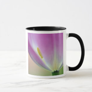 Caneca Fecho da parte inferior da flor da tulipa, Kuekenh