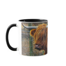 Feliz aniversário para você