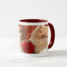 Feliz Valentin's Day Mugs