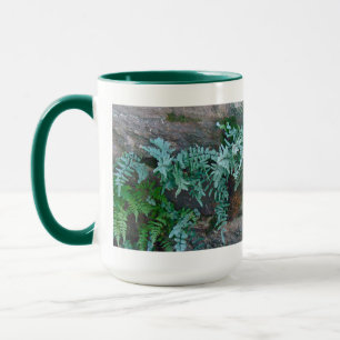 Caneca Ferns na Filadélfia