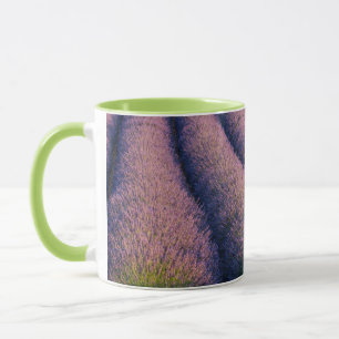 Caneca Fileiras de lavanda na Provença
