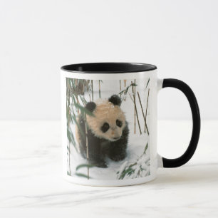 Caneca Filhote da panda na neve, Wolong, Sichuan, China 2